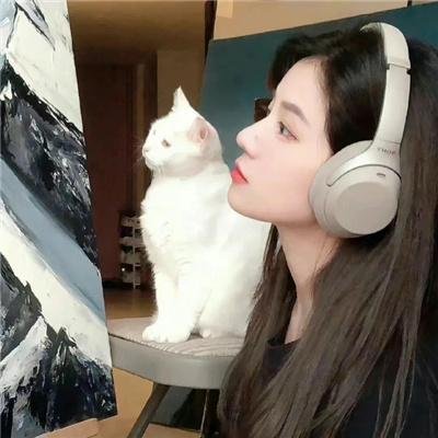 温柔安静的女人们